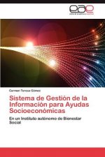 Sistema de Gestion de La Informacion Para Ayudas Socioeconomicas