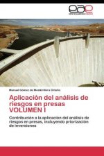 Aplicacion del analisis de riesgos en presas VOLUMEN I