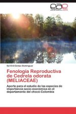 Fenologia Reproductiva de Cedrela Odorata (Meliaceae)