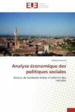 Analyse économique des politiques sociales