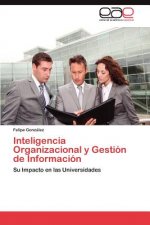 Inteligencia Organizacional y Gestion de Informacion