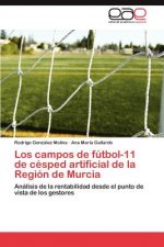 Campos de Futbol-11 de Cesped Artificial de La Region de Murcia