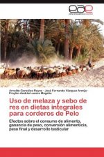 Uso de melaza y sebo de res en dietas integrales para corderos de Pelo