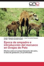 Epoca de empadre e introduccion del morueco en Ovejas de Pelo