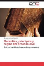 Garantias, Principios y Reglas del Proceso Civil