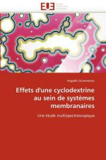 Effets d''une Cyclodextrine Au Sein de Syst mes Membranaires