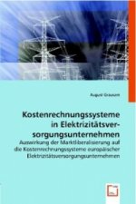 Kostenrechnungssysteme in Elektrizitätsversorgungsunternehmen