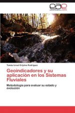 Geoindicadores y su aplicacion en los Sistemas Fluviales