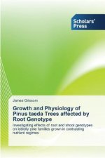 Growth and Physiology of Pinus taeda Trees affected by Root Genotype