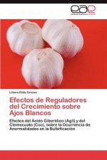 Efectos de Reguladores del Crecimiento Sobre Ajos Blancos