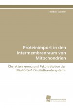 Proteinimport in den Intermembranraum von Mitochondrien