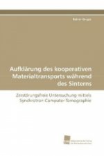 Aufklärung des kooperativen Materialtransports während des Sinterns