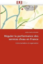 R guler La Performance Des Services d''eau En France