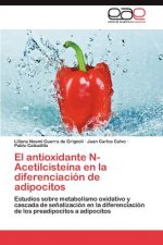 antioxidante N-Acetilcisteina en la diferenciacion de adipocitos