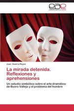 mirada detenida. Reflexiones y aprehensiones
