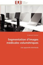 Segmentation D Images M dicales Volum triques