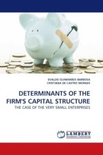 DETERMINANTS OF THE FIRM'S CAPITAL STRUCTURE