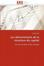 Les determinants de la structure du capital