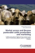 Market access and Borana pastoralist cattle production and marketing