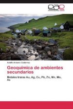 Geoquimica de ambientes secundarios