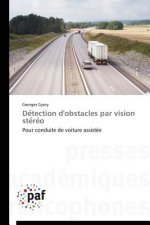 Detection d'Obstacles Par Vision Stereo