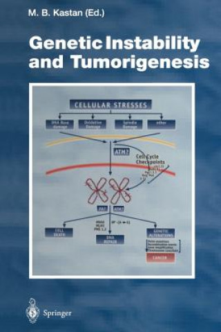 Genetic Instability and Tumorigenesis