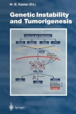 Genetic Instability and Tumorigenesis