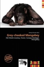 Grey-Cheeked Mangabey