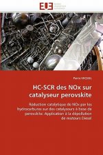 Hc-Scr Des Nox Sur Catalyseur Perovskite