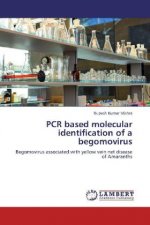 PCR based molecular identification of a begomovirus
