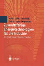 Zukunftsfähige Energietechnologien für die Industrie