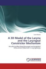 A 3D Model of the Larynx and the Laryngeal Constrictor Mechanism