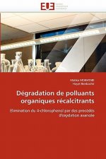 D gradation de Polluants Organiques R calcitrants