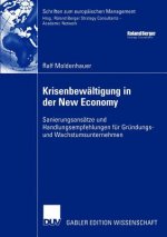 Krisenbewaltigung in der New Economy