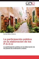 participacion publica en la elaboracion de los P.G.O.U