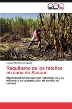 Raquitismo de Los Retonos En Cana de Azucar