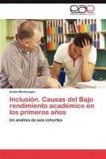 Inclusion. Causas del Bajo Rendimiento Academico En Los Primeros Anos