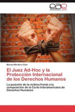 Juez Ad-Hoc y La Proteccion Internacional de Los Derechos Humanos