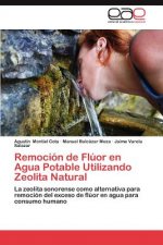 Remocion de Fluor en Agua Potable Utilizando Zeolita Natural