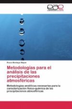 Metodologías para el análisis de las precipitaciones atmosféricas