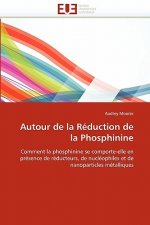Autour de la R duction de la Phosphinine