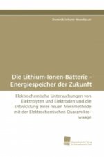 Die Lithium-Ionen-Batterie - Energiespeicher der Zukunft