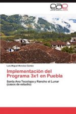 Implementacion del Programa 3x1 En Puebla