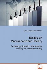 Essays on Macroeconomic Theory