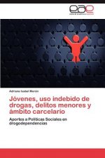 Jovenes, uso indebido de drogas, delitos menores y ambito carcelario