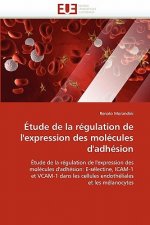 tude de la R gulation de l'Expression Des Mol cules d'Adh sion
