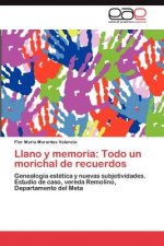 Llano y memoria