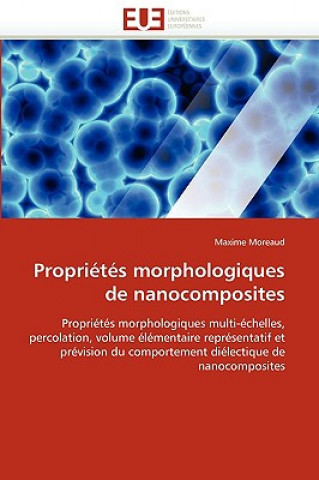 Propri t s Morphologiques de Nanocomposites