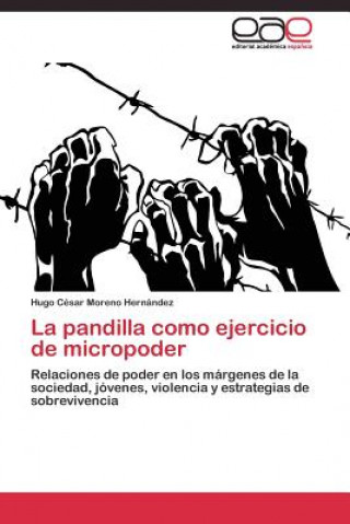 pandilla como ejercicio de micropoder