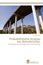 Probabilistische Analyse von Betonbrucken